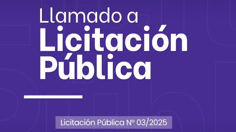 SEGUNDO LLAMADO A LICITACIÓN PÚBLICA Nº 03/2025