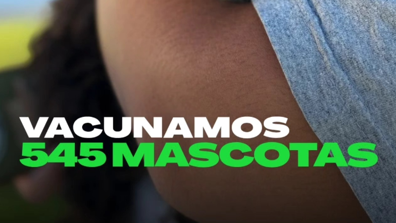 EXITOSA JORNADA DE VACUNACIÓN ANTIRRÁBICA EN LARROQUE