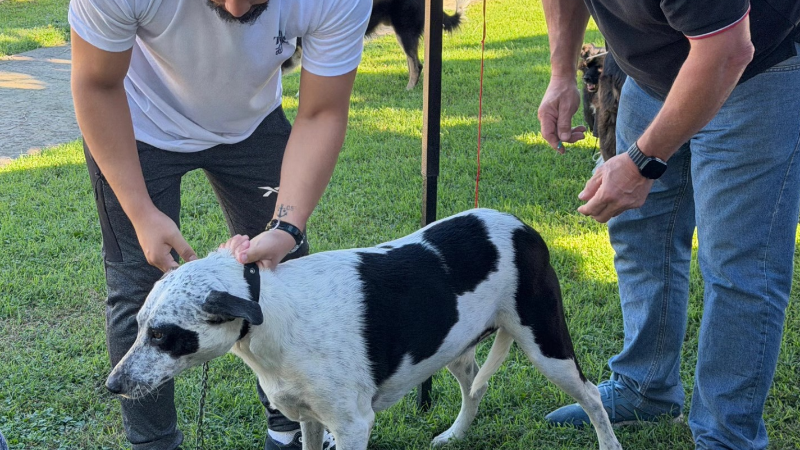 EXITOSA JORNADA DE VACUNACIÓN ANTIRRÁBICA EN LARROQUE