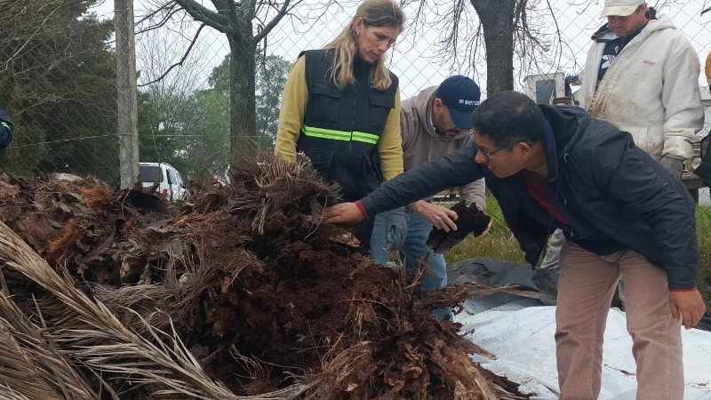 SENASA REALIZÓ UNA INSPECCIÓN SANITARIA EN PALMERAS DE LARROQUE